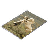 野生の牡獅子が二つ戦う ノートブック (左側)