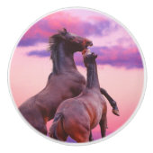 野生の牡獅子育成用セラミックノブ セラミックノブ (正面)