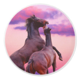 野生の牡獅子育成用セラミックノブ セラミックノブ