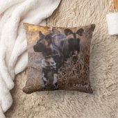 野生の犬の子犬の枕 クッション (ブランケット)