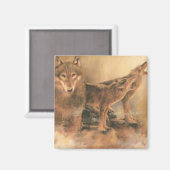 野生の狼の磁石 マグネット (正面/裏面)