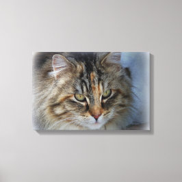 野生の猫の肖像画 キャンバスプリント