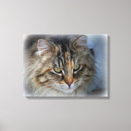 野生の猫の肖像画 キャンバスプリント