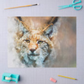 野生の猫ティッシュペーパー 薄葉紙 (クラフト)