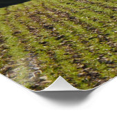 野生の獣鹿のポスター ポスター (コーナー)