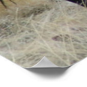 野生の獣 ポスター (角)