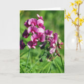 野生の甘エンドウ豆の花 カード (黄色い花)