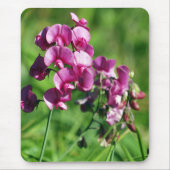 野生の甘エンドウ豆の花 マウスパッド (正面)