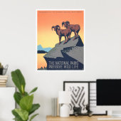 野生の生活を保存,ヴィンテージのポスター,ビッグホーンの羊 ポスター (ホームオフィス)