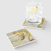 野生の生活コースターを見ている雌ライオン ストーンコースター (横)