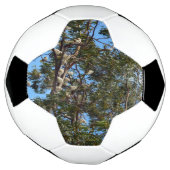 野生の白いオーストラリア産のコカトオ。 サッカーボール (回転)