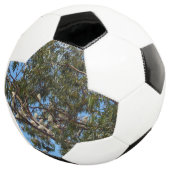 野生の白いオーストラリア産のコカトオ。 サッカーボール (3/4)