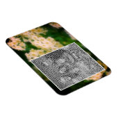 野生の白いバラの散歩写真を追加 マグネット (右側)