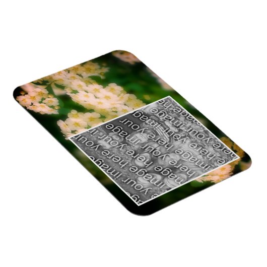 野生の白いバラの散歩写真を追加 マグネット (右側)