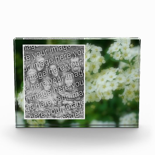 野生の白いバラの散歩独自の追加 フォトブロック (正面)