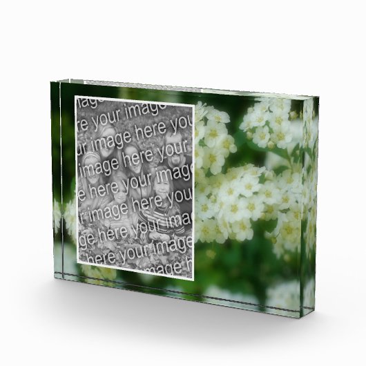 野生の白いバラの散歩独自の追加 フォトブロック (右)