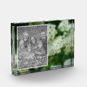 野生の白いバラの散歩独自の追加 フォトブロック (左)