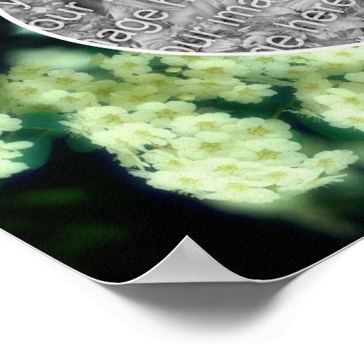 野生の白いバラの散歩自分の写真を作成 ポスター (角)