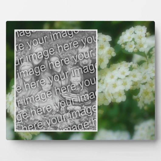 野生の白いバラの散歩自分の写真を追加 フォトプラーク (正面)