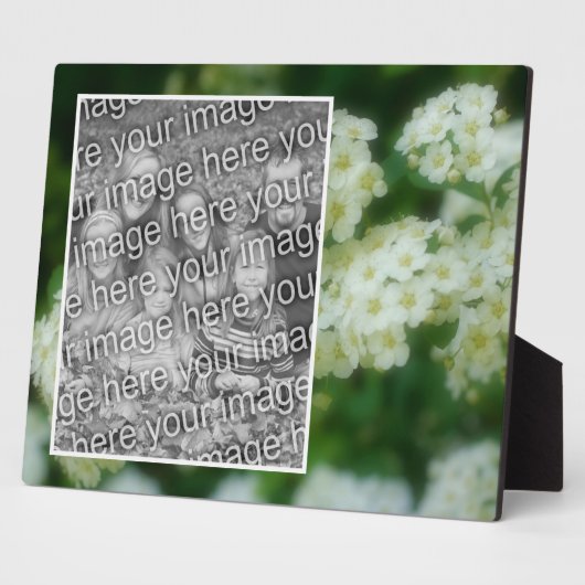 野生の白いバラの散歩自分の写真を追加 フォトプラーク (側面)