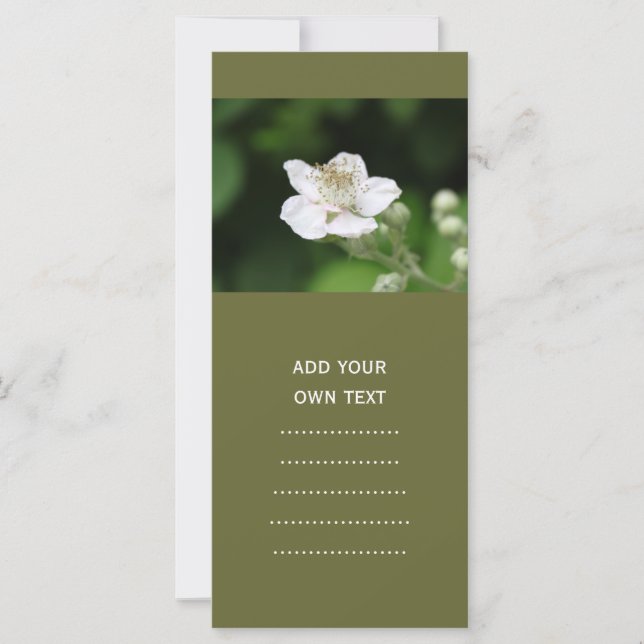 野生の白いラズベリー花。 (正面)