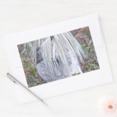 野生の白い新しい森ポニーズオンブレスケン 長方形シール (封筒)