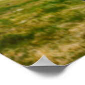 野生の白馬 ポスター (角)