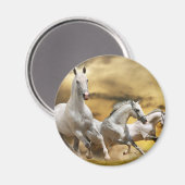 野生の白馬 マグネット (正面/裏面)