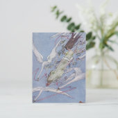 野生の白鳥たち ポストカード (スタンド正面)