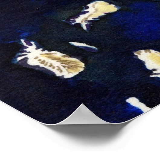 野生の白鳥 ポスター (角)