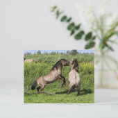 野生の石製はがき ポストカード (スタンド正面)