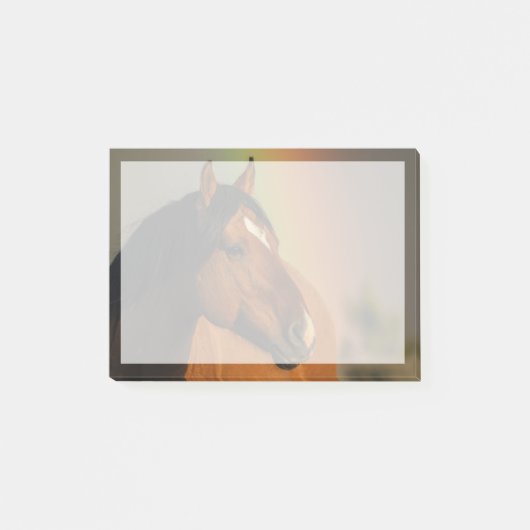 野生の種牡馬、黄金の光と虹 ポストイット (正面)