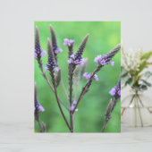 野生の紫色のバーベリーフラワースクラップブック (スタンド正面)