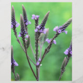 野生の紫色のバーベリーフラワースクラップブック (正面)