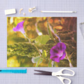 野生の紫色の朝顔の花の切り離し 薄葉紙 (クラフト)