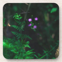 野生の紫色の水林の花シダ コースター