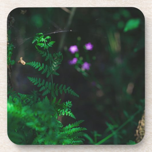 野生の紫色の水林の花シダ コースター (正面)