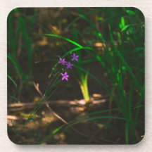 野生の紫色の水林の花シダ