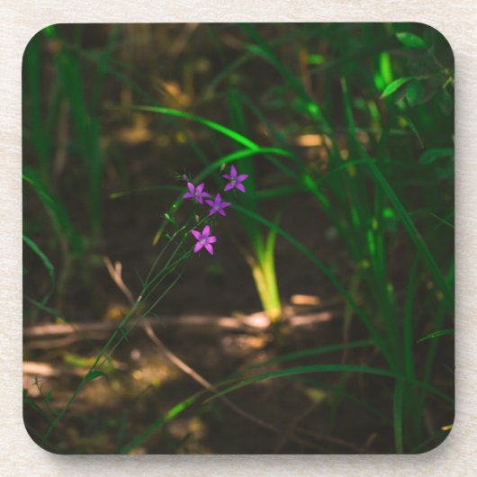 野生の紫色の水林の花シダ コースター (正面)