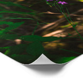 野生の紫色の水林の花シダ ポスター (角)