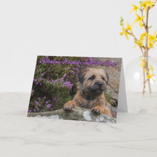 野生の紫色ヒースが付いている石のボーダーテリア カード (黄色い花)