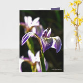 野生の紫色 カード (黄色い花)