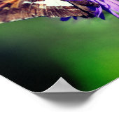 野生の絵を描アスターの花の上の女性の蝶 ポスター (角)