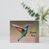 野生の緑のハチドリの写真ありがとう ポストカード (スタンド正面)