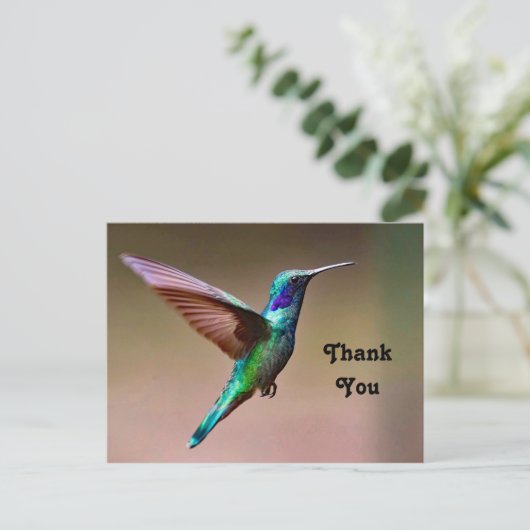 野生の緑のハチドリの写真ありがとう ポストカード (スタンド正面)