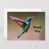 野生の緑のハチドリの写真ありがとう ポストカード (正面/裏面)
