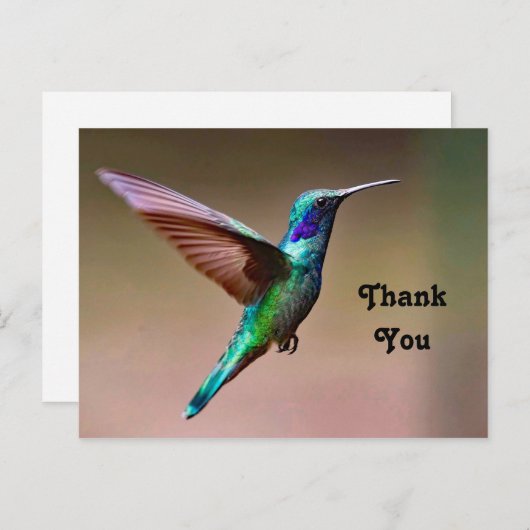 野生の緑のハチドリの写真ありがとう ポストカード (正面/裏面)