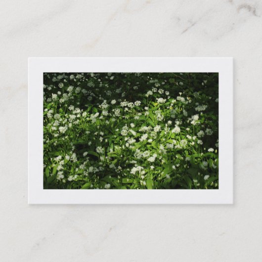 野生の縁どにく 名刺 (正面)