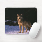野生の美しい動物 マウスパッド (マウス)