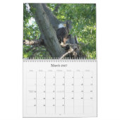 野生の自然ハゲワシの写真 カレンダー (3月 2027)